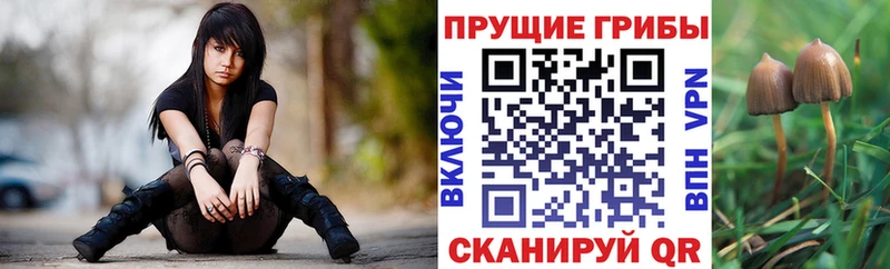 Галлюциногенные грибы прущие грибы  shop как зайти  Сафоново 