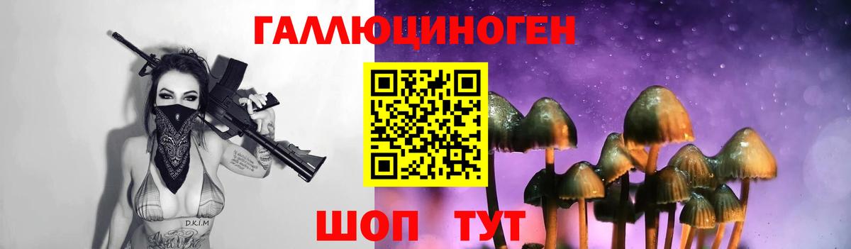 Псилоцибиновые грибы MAGIC MUSHROOMS  Галлюциногенные грибы прущие грибы  Сафоново  Вход с VPN 